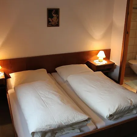 招待所 特鲁德维特旅馆 菲伯布伦